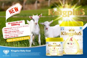 Sữa KingpluS A+ Baby Goat